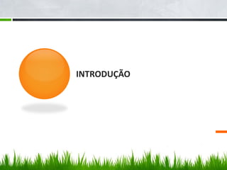INTRODUÇÃO
 