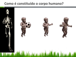 Como é constituído o corpo humano?
 