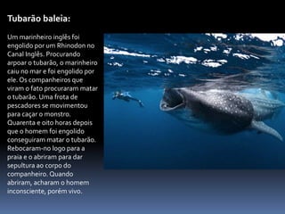 Tubarão baleia:
Um marinheiro inglês foi
engolido por um Rhinodon no
Canal Inglês. Procurando
arpoar o tubarão, o marinheiro
caiu no mar e foi engolido por
ele. Os companheiros que
viram o fato procuraram matar
o tubarão. Uma frota de
pescadores se movimentou
para caçar o monstro.
Quarenta e oito horas depois
que o homem foi engolido
conseguiram matar o tubarão.
Rebocaram-no logo para a
praia e o abriram para dar
sepultura ao corpo do
companheiro. Quando
abriram, acharam o homem
inconsciente, porém vivo.
 
