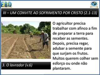 III – UM CONVITE AO SOFRIMENTO POR CRISTO (2.1-13)
3. O lavrador (v.6)
O agricultor precisa
trabalhar com afinco a fim
de preparar a terra para
receber as sementes.
Depois, precisa regar,
adubar a semente para
que surjam os frutos.
Muitos querem colher sem
esforço ou onde não
plantaram.
 