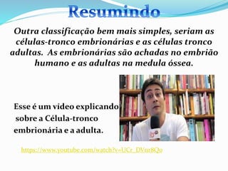 Outra classificação bem mais simples, seriam as
células-tronco embrionárias e as células tronco
adultas. As embrionárias são achadas no embrião
humano e as adultas na medula óssea.
Esse é um vídeo explicando
sobre a Célula-tronco
embrionária e a adulta.
https://www.youtube.com/watch?v=UCr_DVnr8Qo
 
