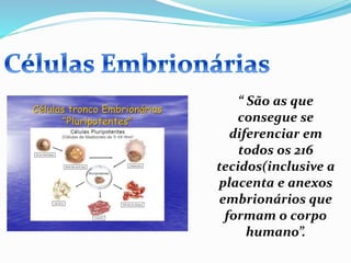 “ São as que
consegue se
diferenciar em
todos os 216
tecidos(inclusive a
placenta e anexos
embrionários que
formam o corpo
humano”.
 