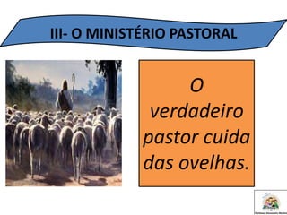 III- O MINISTÉRIO PASTORAL
O
verdadeiro
pastor cuida
das ovelhas.
 