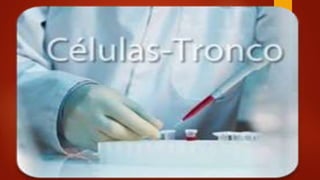 Objetivos
Entender como funcionam as
pesquisas com células-tronco e saber
o que a Bíblia fala sobre a vida
humana
 