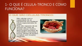 1- O QUE É CELULA-TRONCO E COMO
FUNCIONA?
 