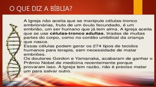 O QUE DIZ A BÍBLIA?
 