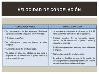 VELOCIDAD DE CONGELACIÓN
 