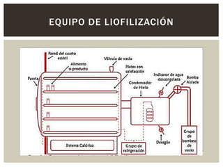 EQUIPO DE LIOFILIZACIÓN
 