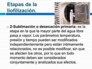 Etapas de la 
liofilización. 
 2-Sublimación o desecación primaria: es la 
etapa en la que la mayor parte del agua libre 
pasa a vapor. Los parámetros temperatura, 
presión y tiempo pueden ser modificados 
independientemente pero están intimamente 
relacionados, no es posible modificar, sin que 
se afecten los otros, por lo que en todo 
momento deben ser considerados 
conjuntamente y analizados sus efectos. 
 