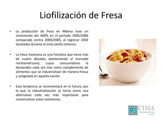 Liofilización de Fresa
• La producción de fresa en México tuvo un
incremento del 400% en el período 2005/2006
comparado contra 2004/2005, al registrar 2402
toneladas durante el ciclo otoño-invierno.
• La fresa mexicana es una hortaliza que tiene más
de cuatro décadas abasteciendo al mercado
norteamericano, cuyos consumidores la
demandan cada vez más como complemento de
alimentos que se industrializan de manera fresca
y congelada en aquella nación.
• Esta tendencia se incrementará en el futuro, por
lo que la industrialización se torna como una
alternativa cada vez más importante para
comercializar estos volúmenes.
 
