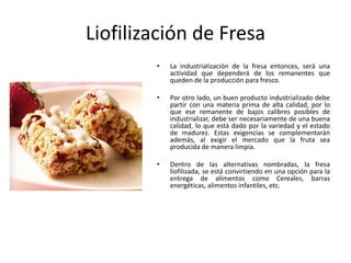 Liofilización de Fresa
• La industrialización de la fresa entonces, será una
actividad que dependerá de los remanentes que
queden de la producción para fresco.
• Por otro lado, un buen producto industrializado debe
partir con una materia prima de alta calidad, por lo
que ese remanente de bajos calibres posibles de
industrializar, debe ser necesariamente de una buena
calidad, lo que está dado por la variedad y el estado
de madurez. Estas exigencias se complementarán
además, al exigir el mercado que la fruta sea
producida de manera limpia.
• Dentro de las alternativas nombradas, la fresa
liofilizada, se está convirtiendo en una opción para la
entrega de alimentos como Cereales, barras
energéticas, alimentos infantiles, etc.
 