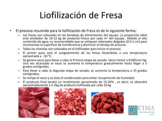 Liofilización de Fresa
• El proceso resumido para la liofilización de Fresa es de la siguiente forma:
– Las fresas son colocadas en las bandejas de alimentación del equipo. La proporción ideal
está alrededor de 10-12 kg de producto fresco por cada m2 del equipo.. Debido al alto
contenido de agua, es recomendable que se coloquen rebanadas delgadas (0.5-1 cm) para
incrementar la superficie de transferencia y disminuir el tiempo de proceso.
– Todas las charolas son colocadas en el liofilizador para iniciar el proceso.
– El primer paso será el congelamiento de las fresas llevándolas a una temperatura
aproximada a -50 °C.
– Se genera vacio para llevar a cabo la Primera etapa de secado. Vacio menor a 0.005mm Hg.
Una vez alcanzado el vacio se aumenta la temperatura gradualmente hasta llegar a 5
grados centígrados.
– Para llevar a cabo la Segunda etapa de secado, se aumenta la temperatura a 25 grados
centígrados.
– Se rompe el vacio y se aísla el condensador para evitar recuperación de humedad.
– El producto final tendrá un rendimiento aproximado de 15-20% , es decir, se obtendrá
aproximadamente 1.5-2kg de producto liofilizado por cada 10 kg.
 
