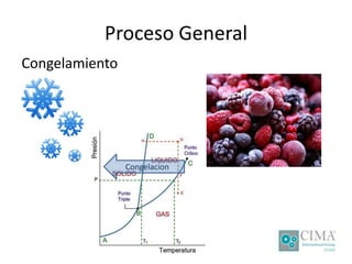 Proceso General
Congelamiento
Congelacion
 