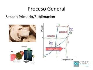 Proceso General
Secado Primario/Sublimación
Sublimacion
 