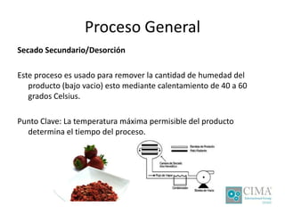 Proceso General
Secado Secundario/Desorción
Este proceso es usado para remover la cantidad de humedad del
producto (bajo vacio) esto mediante calentamiento de 40 a 60
grados Celsius.
Punto Clave: La temperatura máxima permisible del producto
determina el tiempo del proceso.
 