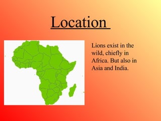 Location Lions exist in the wild, chiefly in Africa. But also in Asia and India.