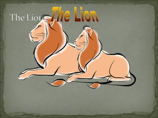 Lion