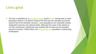 Lions good
 The lion is classified as avulnerable species by the IUCN, having seen a major
population decline in its African range of 30–50% per two decades during the
second half of the twentieth century.[2] Lion populations are untenable outside
designated reserves and national parks. Although the cause of the decline is
not fully understood, habitat loss and conflicts with humans are the greatest
causes of concern. Within Africa, the West African lion population is particularly
endangered.
 