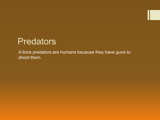 Predators
A lions predators are humans because they have guns to
shoot them.
 