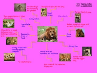 Lion adaptation 2011[1]-1 | PPT