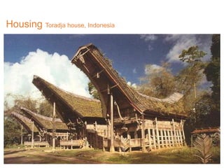 Housing Toradja house, Indonesia
 