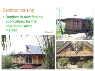 Bamboo housing
• Bamboo is now finding
applications for the
developed world
market Hawaii
Thailand
 