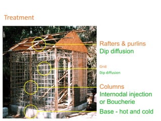Treatment
Columns
Internodal injection
or Boucherie
Base - hot and cold
Rafters & purlins
Dip diffusion
Grid
Dip diffusion
 