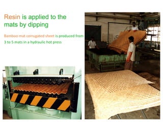 Resin is applied to the
mats by dipping
Bamboo mat corrugated sheet is produced from
3 to 5 mats in a hydraulic hot press
 