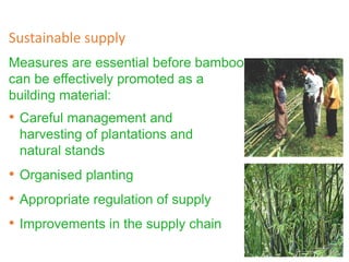 Measures are essential before bamboo
can be effectively promoted as a
building material:
Sustainable supply
• Careful management and
harvesting of plantations and
natural stands
• Organised planting
• Appropriate regulation of supply
• Improvements in the supply chain
 