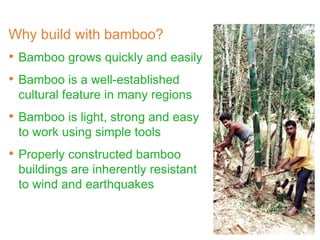 Why build with bamboo?
• Bamboo grows quickly and easily
• Bamboo is a well-established
cultural feature in many regions
• Bamboo is light, strong and easy
to work using simple tools
• Properly constructed bamboo
buildings are inherently resistant
to wind and earthquakes
 