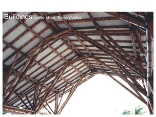 Buildings cattle shed, Simon Velez
 