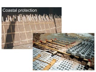 Coastal protection
 