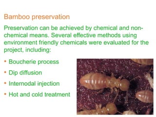 Preservation can be achieved by chemical and non-
chemical means. Several effective methods using
environment friendly chemicals were evaluated for the
project, including:
• Boucherie process
• Dip diffusion
• Internodal injection
• Hot and cold treatment
Bamboo preservation
 