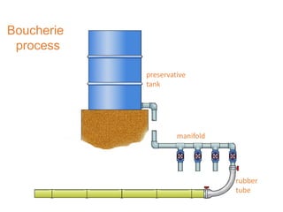 Boucherie
process
rubber
tube
preservative
tank
manifold
 