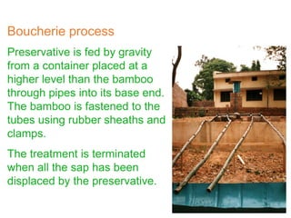 Preservative is fed by gravity
from a container placed at a
higher level than the bamboo
through pipes into its base end.
The bamboo is fastened to the
tubes using rubber sheaths and
clamps.
The treatment is terminated
when all the sap has been
displaced by the preservative.
Boucherie process
 