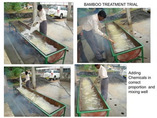 BAMBOO TREATMENT TRIAL
Adding
Chemicals in
correct
proportion and
mixing well
 