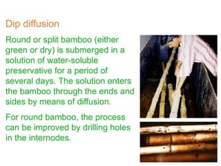Round or split bamboo (either
green or dry) is submerged in a
solution of water-soluble
preservative for a period of
several days. The solution enters
the bamboo through the ends and
sides by means of diffusion.
For round bamboo, the process
can be improved by drilling holes
in the internodes.
Dip diffusion
 