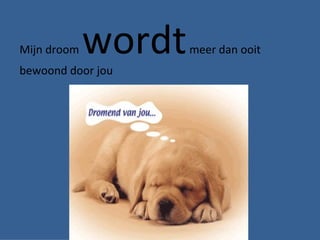 Mijn droom  wordt  meer dan ooit bewoond door jou 