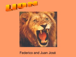 Federico and Juan José LION 
