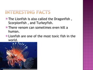 The Lionfish is also called the Dragonfish , Scorpionfish , and Turkeyfish. There venom can sometimes even kill a human. Lionfish are one of the most toxic fish in the world. 