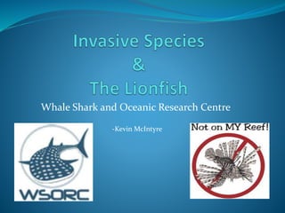 Whale Shark and Oceanic Research Centre
-Kevin McIntyre
 