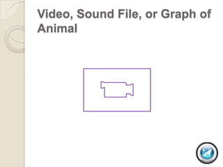 Video, Sound File, or Graph of
Animal
 