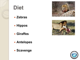 Diet
   Zebras

   Hippos

   Giraffes

   Antelopes

   Scavenge
 