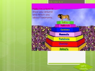 Hello I’m a lion! I’ll
show you around
and teach you
about Taxonomy.




                          Let’s
                         classify
 
