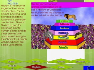 FUN
        FACTS!!!!!        This the second one of
Phylum is the second
                          animal classification we all
largest of the animal
                          call it Phylum or Chordata.
classification. For the
                          For our animals we choose a
animal, bacteria, and
                          snake, a bird, and a falcon.
archaea kingdoms,
taxonomists generally
use the term Phylum.
Phylum is used for
classifying plants.
Human beings and all
other animals with
backbones belong to
the Chordata. Animals
with backbones are
called vertebrates.
 