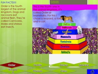 FUN FACTS!!!!
Order is the fourth     This is the fourth one in
largest of the animal   the animal kingdom. It’s
kingdom. Dogs and       called Order or
raccoons eat            Mammalia. For this I
animal flesh. They’re   chose a leopard, a fox,
called Carnivores.      and a cat.
Moles and shrews
eat insects.
 