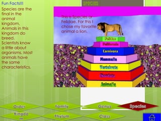 Fun Facts!!!
Species are the
final in the
animal             This is Species or
kingdom.           Felidae. For this I
Animals in this    chose my favorite
kingdom do         animal a lion.
breed.
Scientists know
a little about
organisms. Most
animals have
the same
characteristics.
 