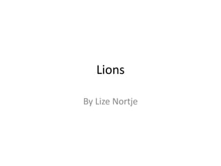 Lions

By Lize Nortje
 