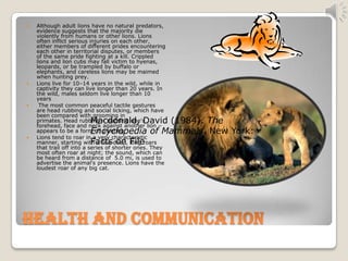 Lions | PPT