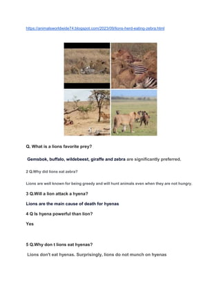 https://animalsworldwide74.blogspot.com/2023/09/lions-herd-eating-zebra.html
Q. What is a lions favorite prey?
Gemsbok, buffalo, wildebeest, giraffe and zebra are significantly preferred.
2 Q.Why did lions eat zebra?
Lions are well known for being greedy and will hunt animals even when they are not hungry.
3 Q.Will a lion attack a hyena?
Lions are the main cause of death for hyenas
4 Q Is hyena powerful than lion?
Yes
5 Q.Why don t lions eat hyenas?
Lions don't eat hyenas. Surprisingly, lions do not munch on hyenas
 
